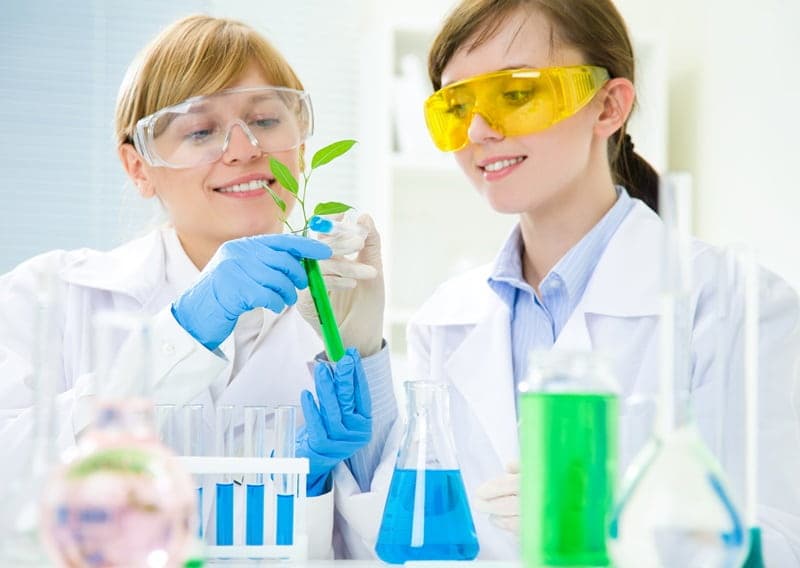 How to Study Physiotherapy in the USA: Tips and Requirements