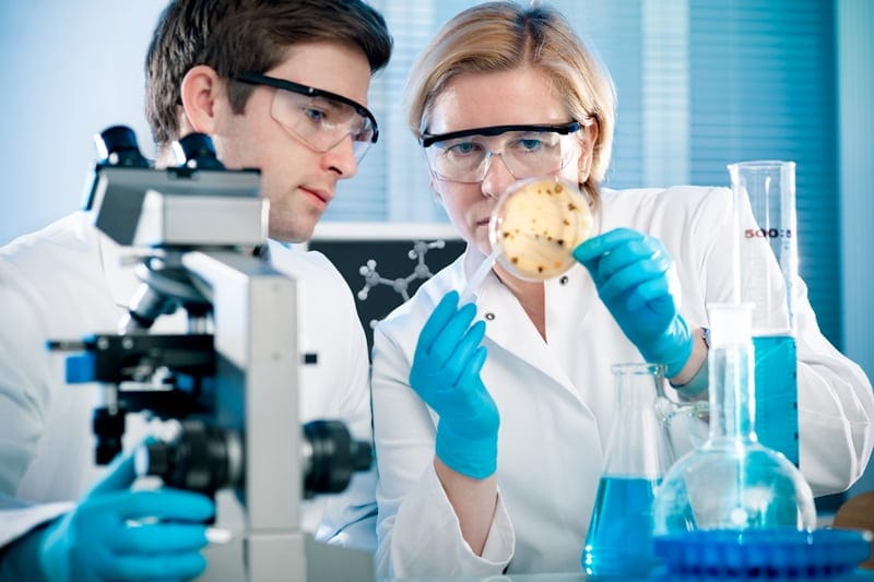 ماجستير الصحة العامة Public Health - دليل الدراسة في الخارج