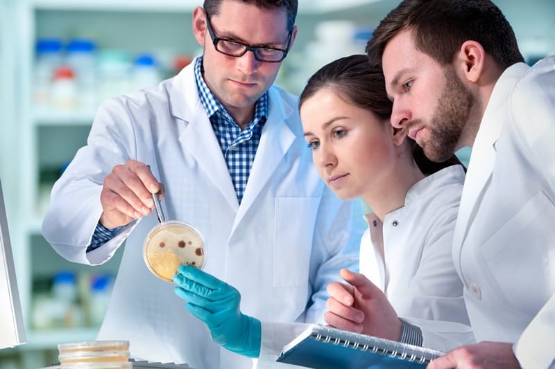دراسة تخصص القانون الجنائي في الجامعات الأمريكية