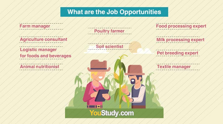 What-are-the-Job-Opportunities